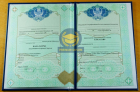 Бакалавр 2009 - 2026